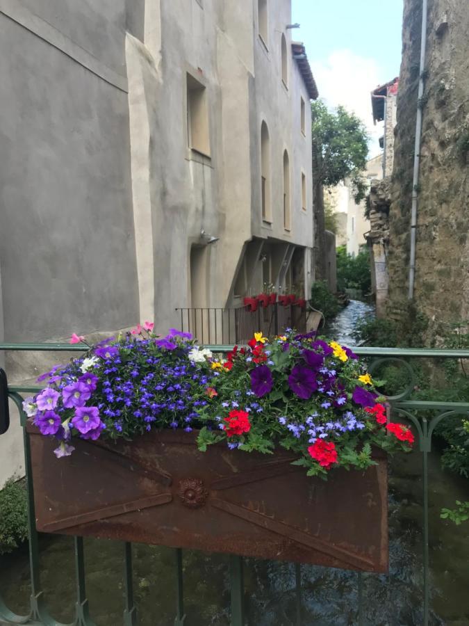 Petit Reve Apartment L'Isle-sur-la-Sorgue Bagian luar foto