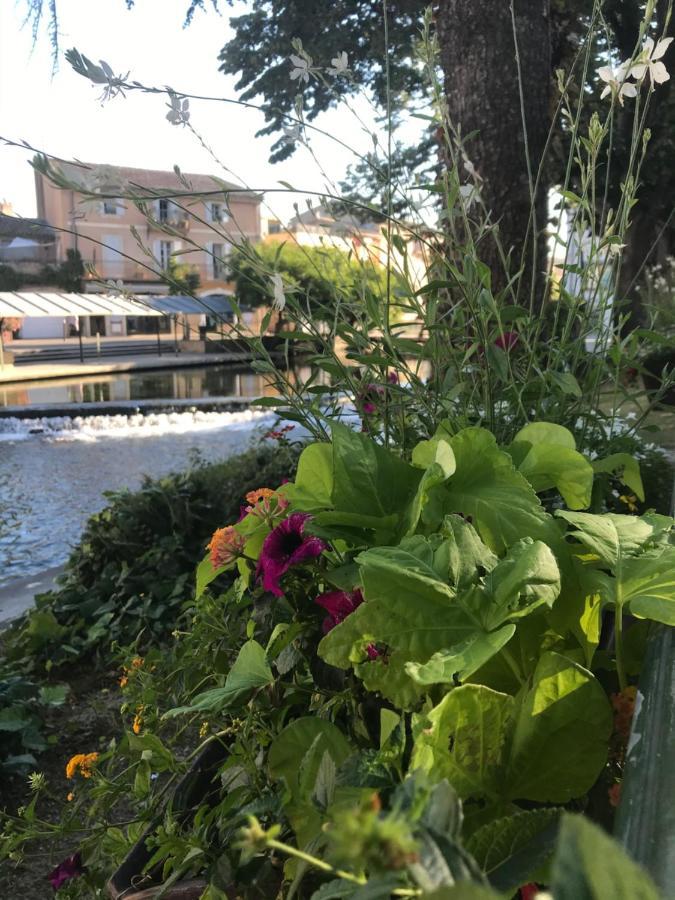 Petit Reve Apartment L'Isle-sur-la-Sorgue Bagian luar foto